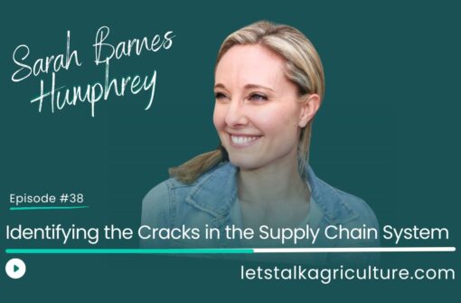 Episode 37: Identifying the Cracks in the Supply Chain System with Sarah Barnes Humphrey