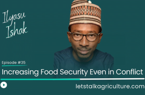 Episode 34: Increasing Food Security Even In Conflict with Ilyasu Ishak