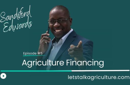 Episode 5: Agriculture Financing with Sandiford Edwards