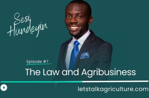 Episode 7: The Law and Agribusiness with Sesi Hundeyin