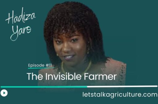 Episode 11: The Invisible Farmer with Hadiza Yaro