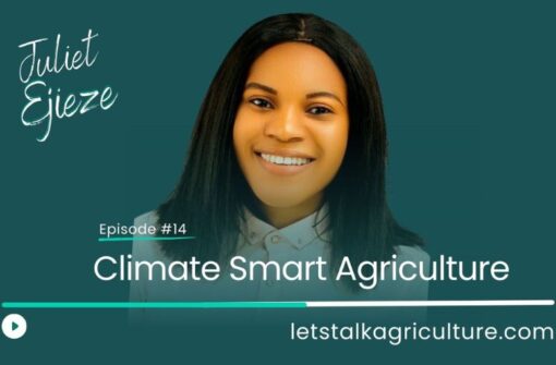 Episode 13: Climate Smart Agriculture with Juliet Ejieze