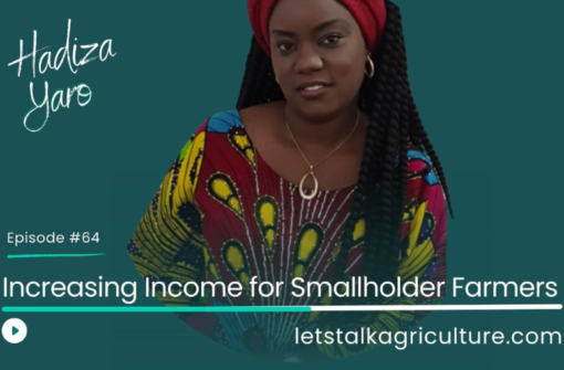 Episode 61: Increasing Income for Smallholder Farmers with Hadiza Yaro