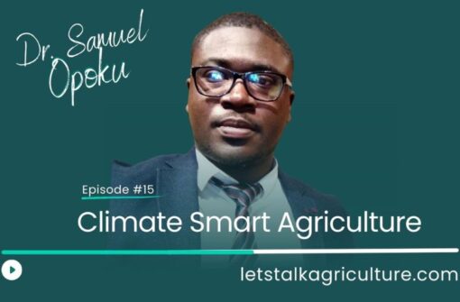 Episode 14: Climate Smart Agriculture with Dr. Samuel Opoku