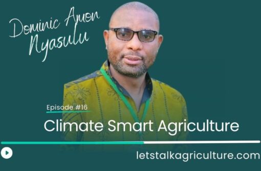 Episode 15: Climate Smart Agriculture with Dominic Amon Nyasulu