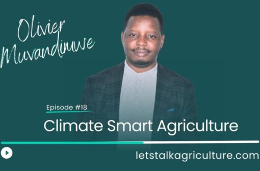 Episode 17: Climate Smart Agriculture with Olivier Muvandimwe