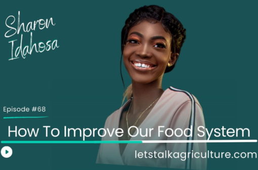 Episode 65: How to Improve Our Food System with Sharon Idahosa