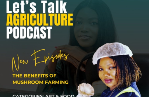Episode 66: The Benefits of Mushroom Farming with the Mushroom Queen