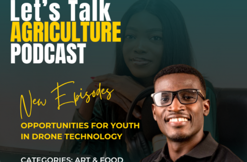 Episode 67: Opportunities for Youth in Drone Technology with Femi Adekoya