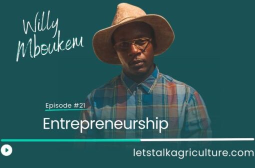 Episode 20: Entrepreneurship with Willy Mboukem