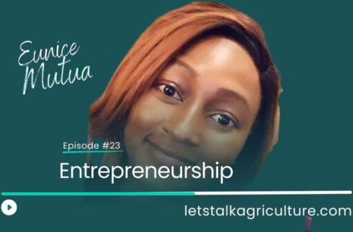 Episode 22: Entrepreneurship with Eunice Mutua