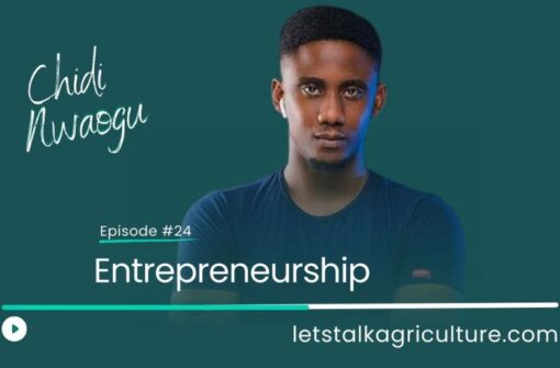 Episode 23: Entrepreneurship with Chidi Nwaogu