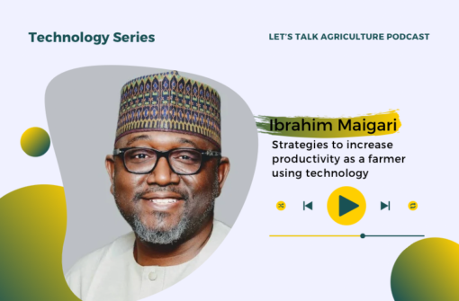 Episode 82: Strategies to Increase the Productivity of Farmers with Ibrahim Maigari