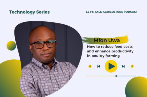 Episode 81: Mfon Uwa; CEO of Yiieldy Discusses on How to Reduce Feed Costs in Poultry Farming