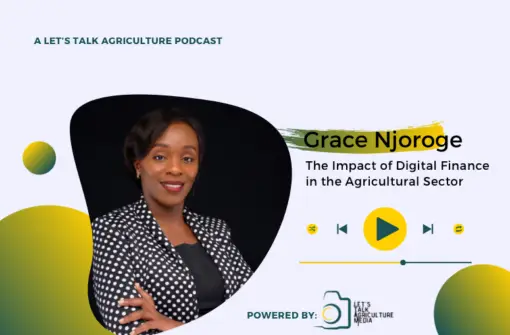 Episode 86: The Impact of Digital Finance in the Agricultural Sector with Grace Njoroge