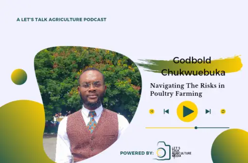 Episode 87: Navigating the Risk In Poultry Farming with Godbold Chukwuebuka